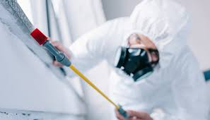 Best Pest Prevention Services  in Boerne, TX